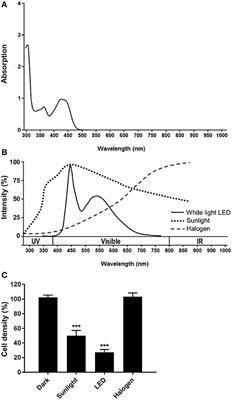 Preclinical Evaluation of White Led-Activated Non-porphyrinic Photosensitizer OR141 in 3D Tumor Spheroids and Mouse Skin Lesions